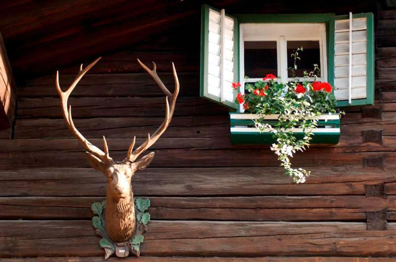 Hotel Gasthof Markterwirt Altenmarkt im Pongau Dış mekan fotoğraf